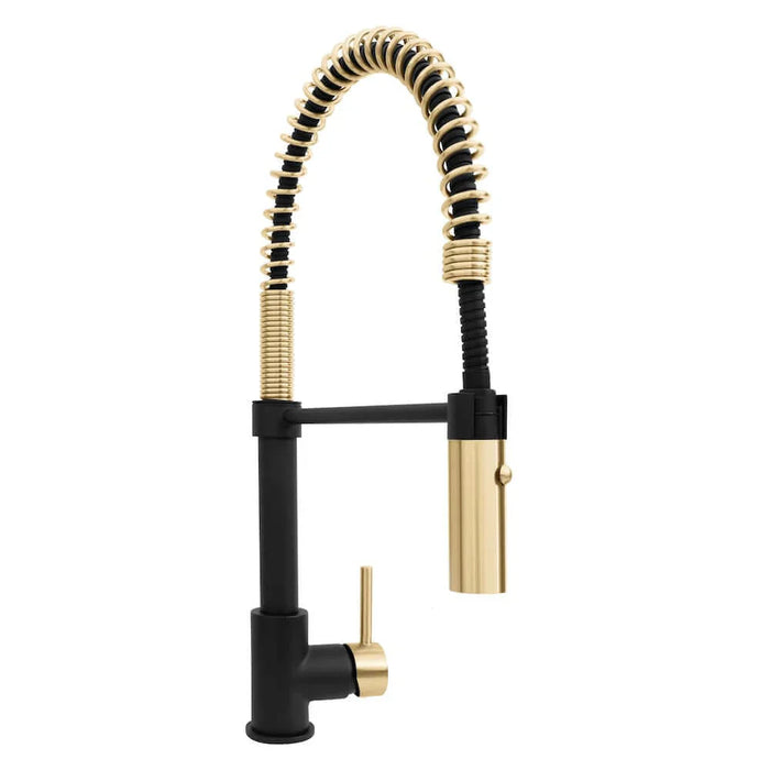 ZLINE Autograph Edition Sierra Pull Down Spring Single Handle Kitchen Faucet, SRA-KF-Z09K