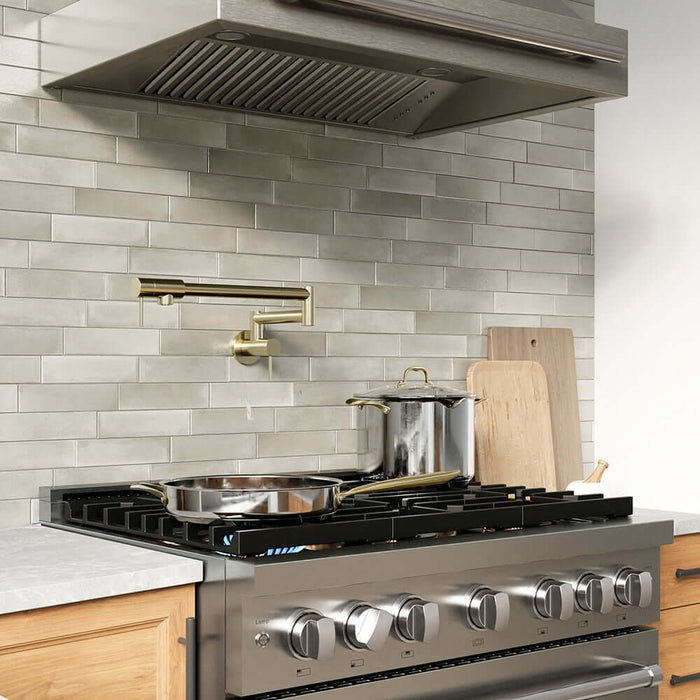 ZLINE 36" Paramount Gas Range DuoPro™ Cooktop, Convection Gas Oven PSGRBZ-36-CB09K