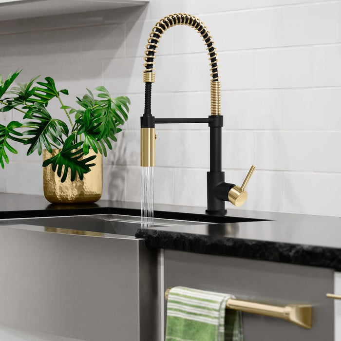 ZLINE Autograph Edition Sierra Pull Down Spring Single Handle Kitchen Faucet, SRA-KF-Z09K