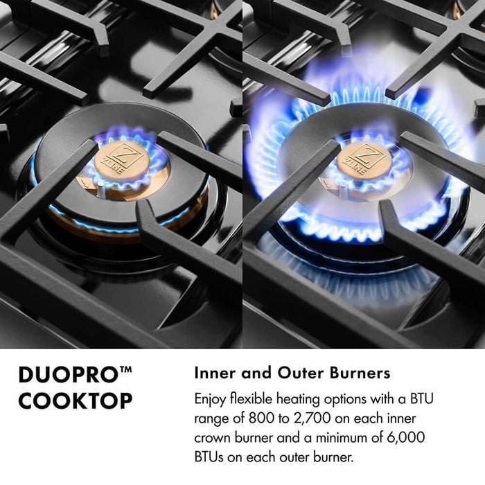 ZLINE 48" Paramount Dual Fuel Range DuoPro™ Cooktop, Dual Ovens PSDRZ-WM-48-CB09K