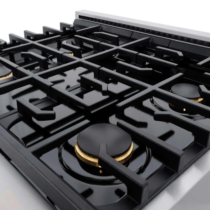 ZLINE 30"Paramount Dual Fuel Range DuraSnow® Brass Burners SDRS-BR-3009K