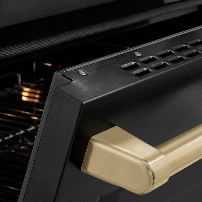 ZLINE 24" Paramount Induction Range, Cooktop, Electric Convection Oven, Accents SINRBZ-2409K