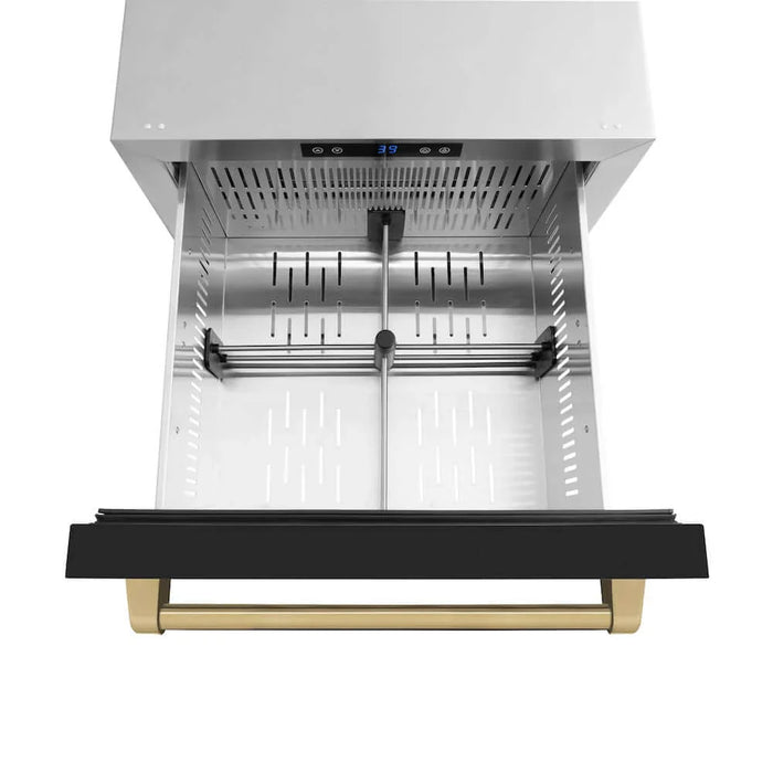 ZLINE Autograph Edition 24" Touchstone 168 Can Outdoor-Rated Dual Refrigerator Drawer, Black Matte Door, Accents  RDSOZ-BLM-24-CB09K