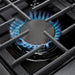 THOR 36" Professional Propane Range in Stainless Steel, HRD3606ULP - Farmhouse Kitchen and Bath