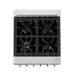 DSICONTINUED-ZLINE 24" Professional Dual Fuel Range, Stainless Steel Door, RA-SN-24 - Farmhouse Kitchen and Bath