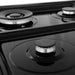 ZLINE 24" Gas On Gas Range In DuraSnow, Stainless Steel, RGS - BG - 24 - Farmhouse Kitchen and Bath