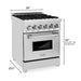ZLINE 24" Professional Dual Fuel Range in White Matte RAS - WM - 24 - Farmhouse Kitchen and Bath