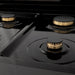 ZLINE 30" Autograph Dual Fuel Range, Black Stainless, Gold, RABZ - 30 - G - Farmhouse Kitchen and Bath