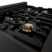 ZLINE 30" Autograph Edition Rangetop, Gold Accents, RTBZ - 30 - G - Farmhouse Kitchen and Bath