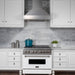 ZLINE 30" Snow Finish Stainless Range Hood with Snow Finish Shell, 8654SN - 30 - Farmhouse Kitchen and Bath