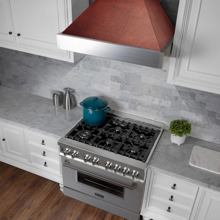 ZLINE 30" Snow Finish Wall Range Hood, Hammered Copper Shell, 8654HH - 30 - Farmhouse Kitchen and Bath