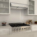 ZLINE 30" Under Cabinet Stainless Steel Range Hood 625 - 30 - Farmhouse Kitchen and Bath