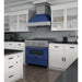 ZLINE 36" Professional Dual Fuel Range in Snow Stainless, Blue Gloss Door, RAS - BG - 36 - Farmhouse Kitchen and Bath
