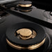 ZLINE 48" Autograph Porcelain Rangetop, Stainless, Gold, RTZ - 48 - MB - Farmhouse Kitchen and Bath