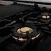 ZLINE 48" Autograph Rangetop, DuraSnow, Gold Accents RTSZ - 48 - MB - Farmhouse Kitchen and Bath
