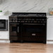 ZLINE 48" Black Stainless, Gas Burner, Electric Oven Range, RAB - 48 - Farmhouse Kitchen and Bath