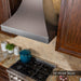 ZLINE 48" Designer Snow Stainless Finish Wall Range Hood, 8632S - 48 - Farmhouse Kitchen and Bath