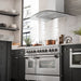 ZLINE 48" Wall Range Hood, Snow Finish Stainless & Glass, 8KN4S - 48 - Farmhouse Kitchen and Bath