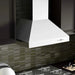 ZLINE Ducted Wall Mount Range Hood in Outdoor Approved Stainless Steel 697 - 304 - 30 - Farmhouse Kitchen and Bath