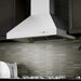 ZLINE Ducted Wall Mount Range Hood in Outdoor Approved Stainless Steel 697 - 304 - 30 - Farmhouse Kitchen and Bath