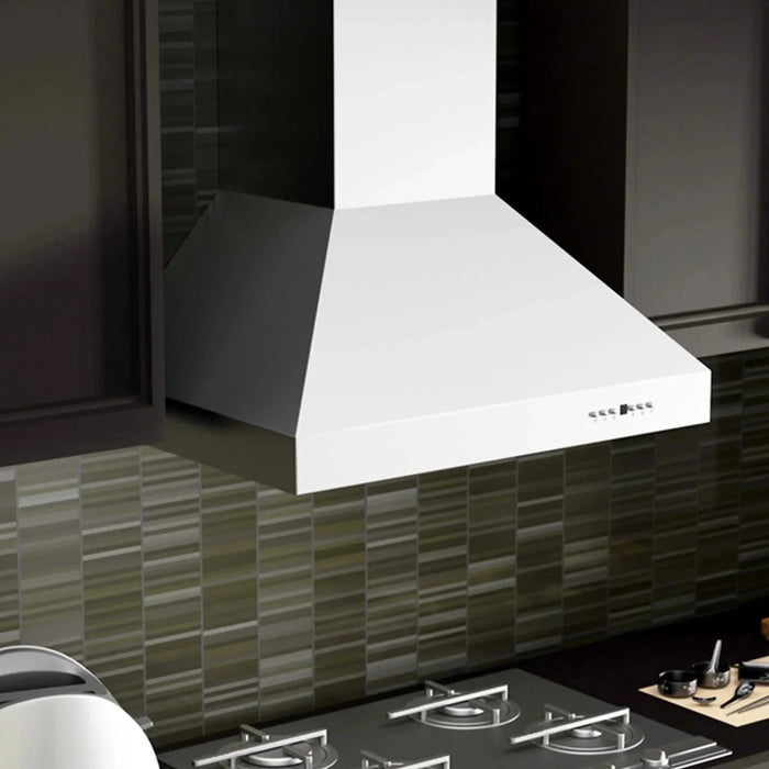 ZLINE Ducted Wall Mount Range Hood in Outdoor Approved Stainless Steel 697 - 304 - 42 - Farmhouse Kitchen and Bath