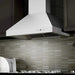 ZLINE Ducted Wall Mount Range Hood in Outdoor Approved Stainless Steel 697 - 304 - 42 - Farmhouse Kitchen and Bath