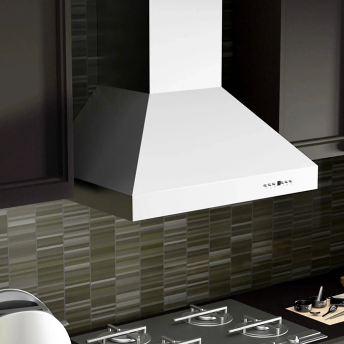 ZLINE Ducted Wall Mount Range Hood in Outdoor Approved Stainless Steel 697 - 304 - 60 - Farmhouse Kitchen and Bath