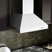 ZLINE Ducted Wall Mount Range Hood in Outdoor Approved Stainless Steel 697 - 304 - 60 - Farmhouse Kitchen and Bath